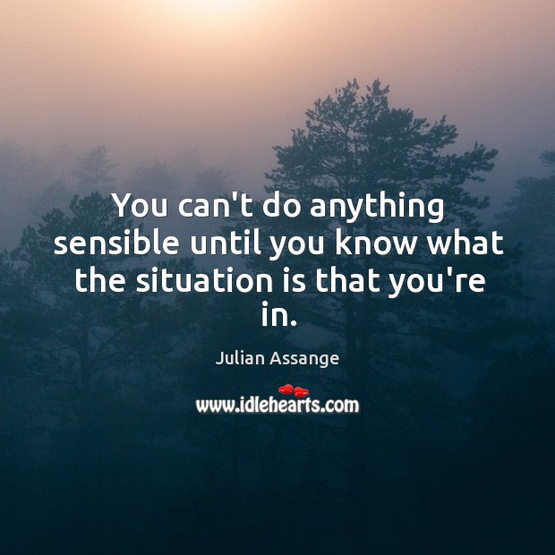 You can’t do anything sensible until you know what the situation is that you’re in. Julian Assange Picture Quote