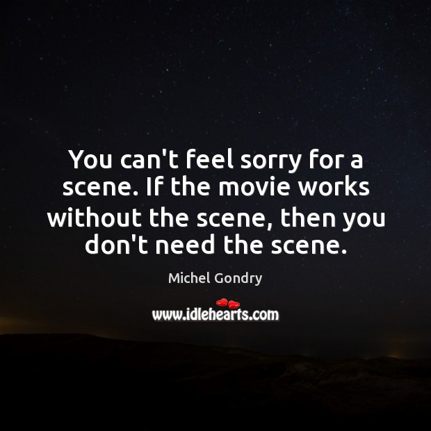 You can’t feel sorry for a scene. If the movie works without Michel Gondry Picture Quote