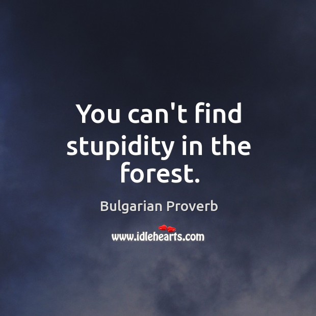 You can’t find stupidity in the forest. Bulgarian Proverbs Image