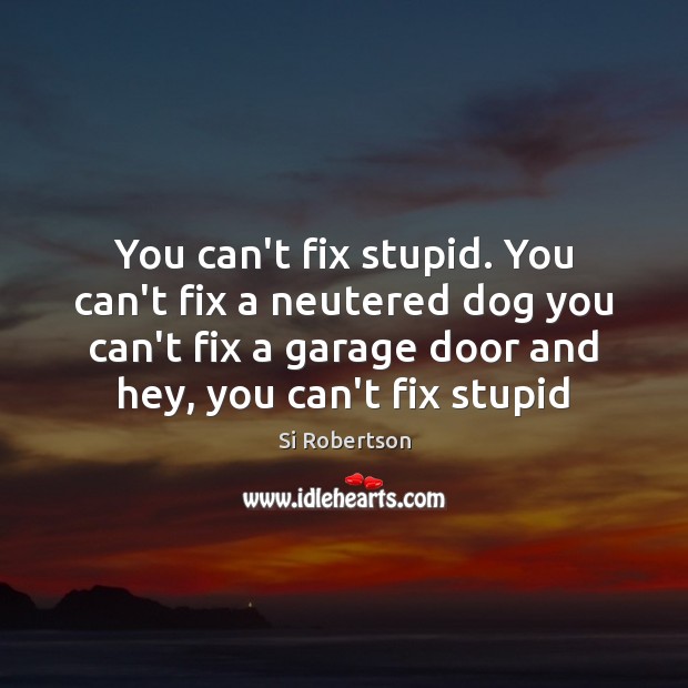 You can’t fix stupid. You can’t fix a neutered dog you can’t Si Robertson Picture Quote