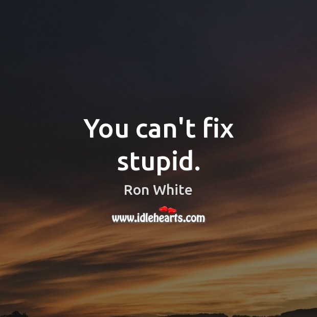 You can’t fix stupid. Ron White Picture Quote