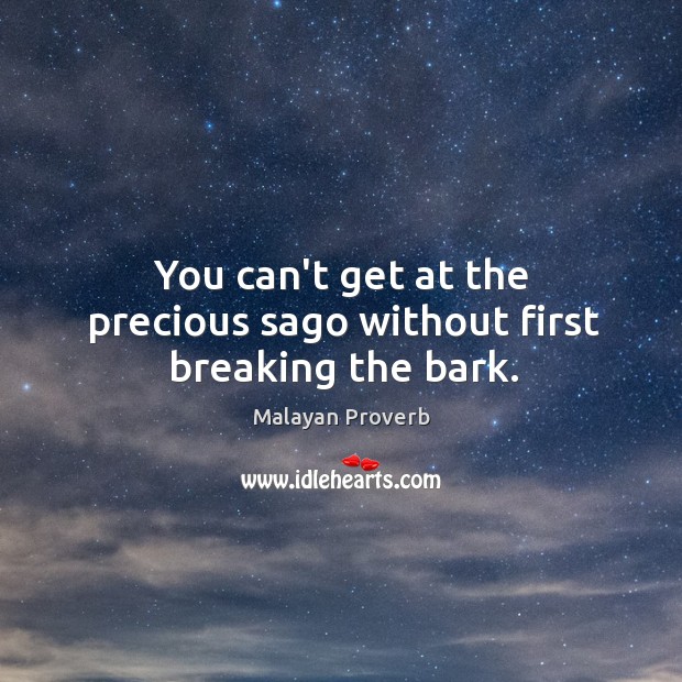 You can’t get at the precious sago without first breaking the bark. Malayan Proverbs Image