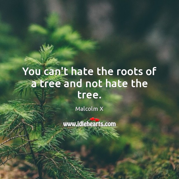 You can’t hate the roots of a tree and not hate the tree. Malcolm X Picture Quote