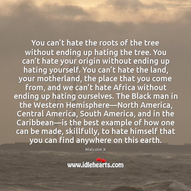 You can’t hate the roots of the tree without ending up Malcolm X Picture Quote