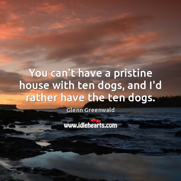You can’t have a pristine house with ten dogs, and I’d rather have the ten dogs. Image