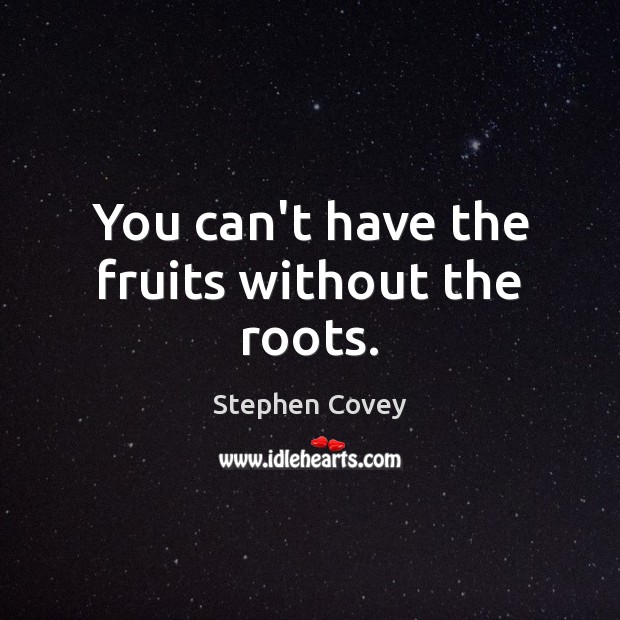 You can’t have the fruits without the roots. Stephen Covey Picture Quote
