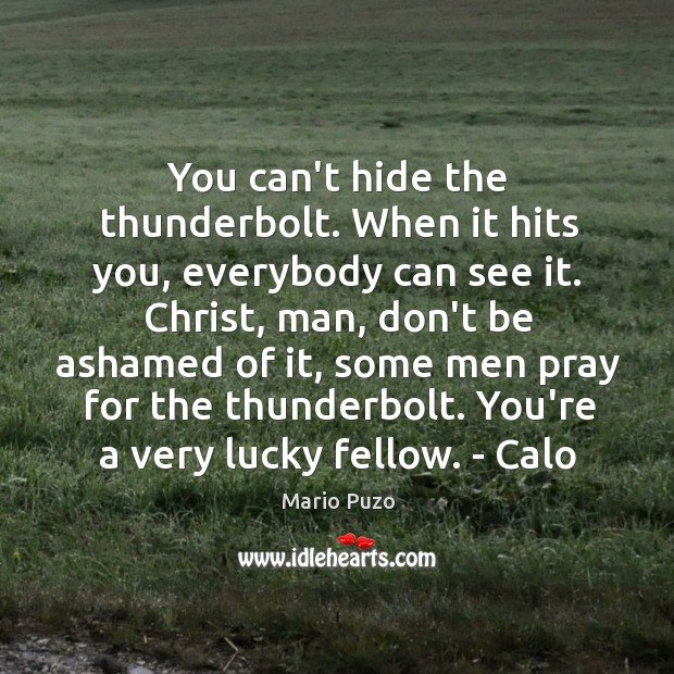 You can’t hide the thunderbolt. When it hits you, everybody can see Mario Puzo Picture Quote