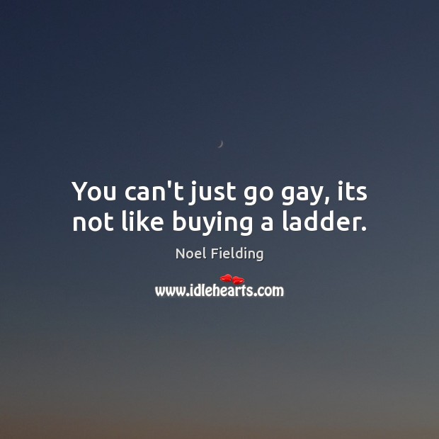 You can’t just go gay, its not like buying a ladder. Noel Fielding Picture Quote