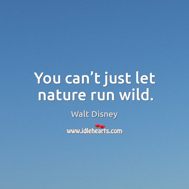 You can’t just let nature run wild. Walt Disney Picture Quote
