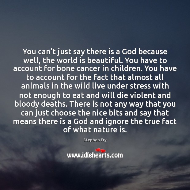 You can’t just say there is a God because well, the world Stephen Fry Picture Quote