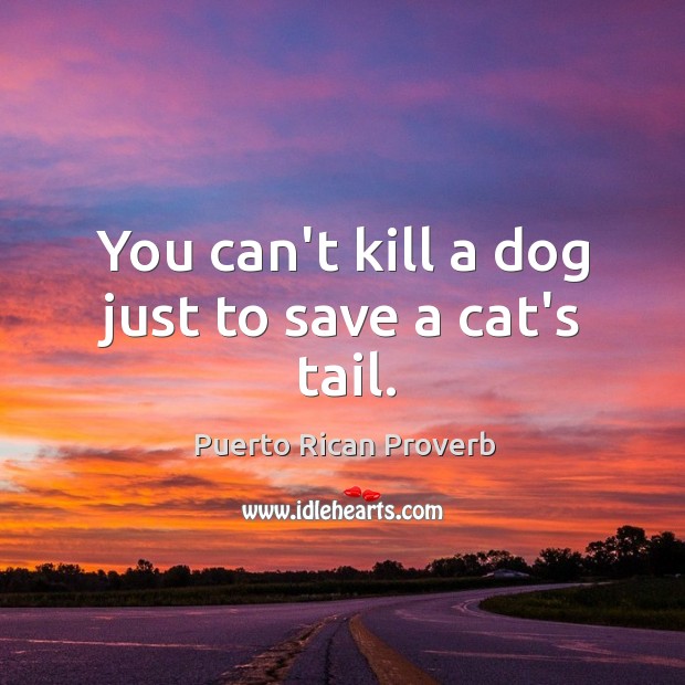 You can’t kill a dog just to save a cat’s tail. Puerto Rican Proverbs Image
