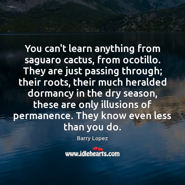 You can’t learn anything from saguaro cactus, from ocotillo. They are just Barry Lopez Picture Quote