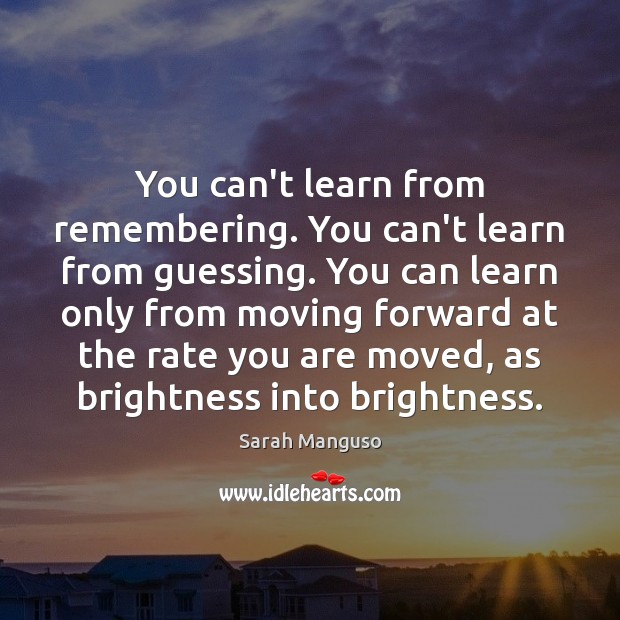You can’t learn from remembering. You can’t learn from guessing. You can Sarah Manguso Picture Quote