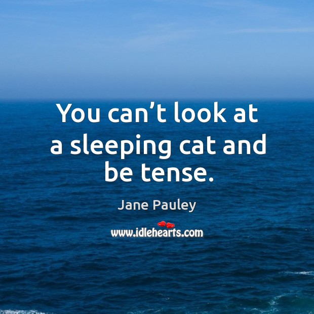 You can’t look at a sleeping cat and be tense. Jane Pauley Picture Quote