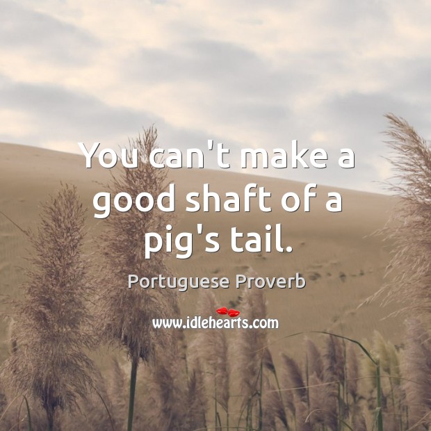 You can’t make a good shaft of a pig’s tail. Portuguese Proverbs Image