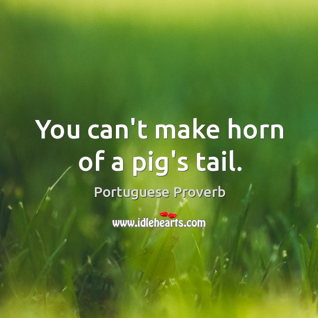 You can’t make horn of a pig’s tail. Portuguese Proverbs Image