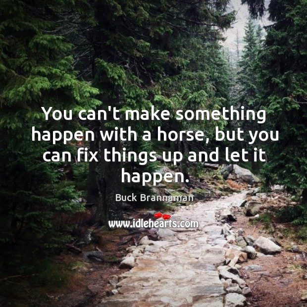 You can’t make something happen with a horse, but you can fix things up and let it happen. Buck Brannaman Picture Quote