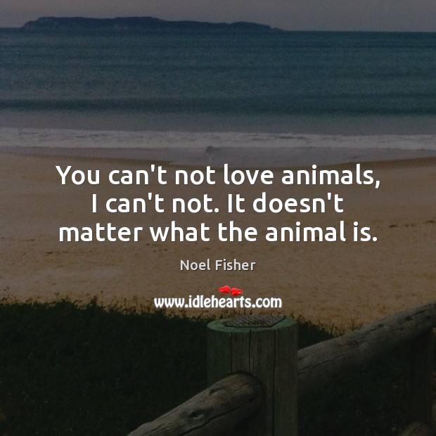 You can’t not love animals, I can’t not. It doesn’t matter what the animal is. Noel Fisher Picture Quote