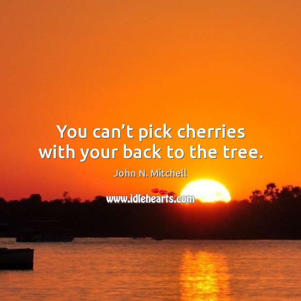 You can’t pick cherries with your back to the tree. John N. Mitchell Picture Quote