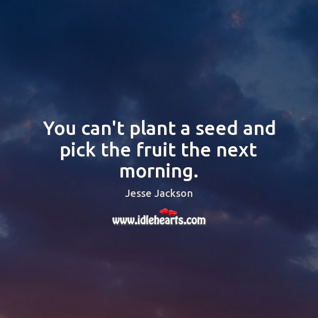 You can’t plant a seed and pick the fruit the next morning. Jesse Jackson Picture Quote