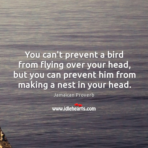 You can’t prevent a bird from flying over your head Jamaican Proverbs Image