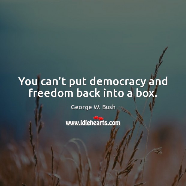 You can’t put democracy and freedom back into a box. Image