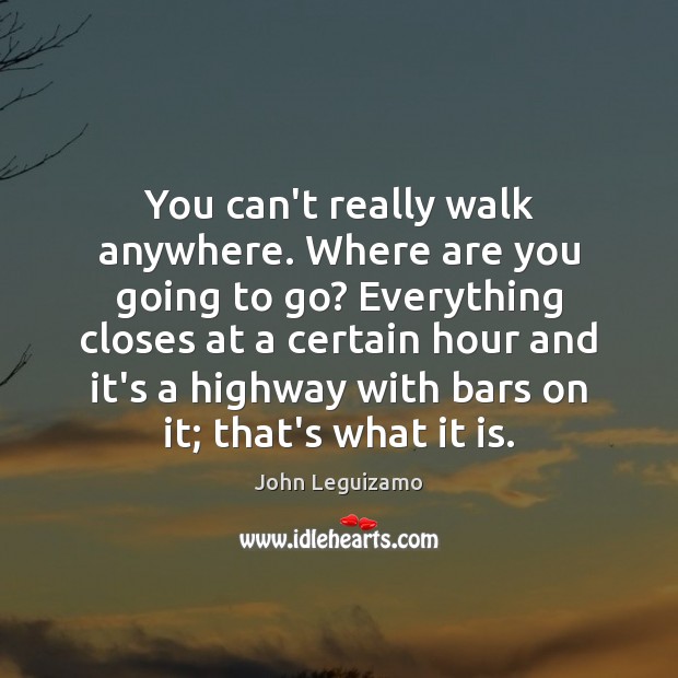 You can’t really walk anywhere. Where are you going to go? Everything John Leguizamo Picture Quote