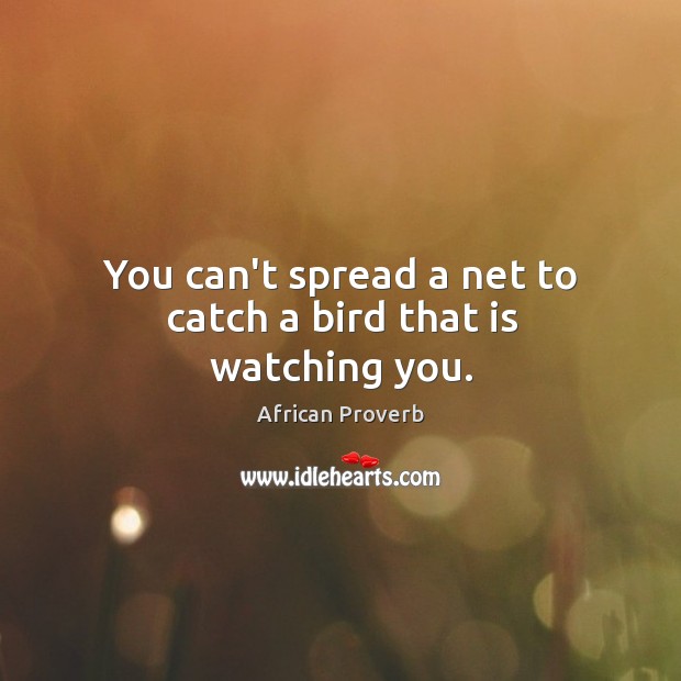 You can’t spread a net to catch a bird that is watching you. Image
