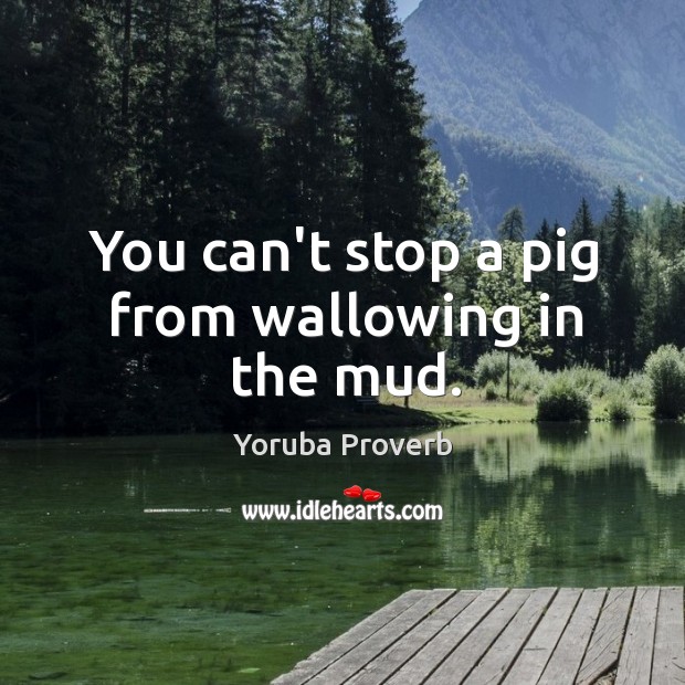 You can’t stop a pig from wallowing in the mud. Yoruba Proverbs Image