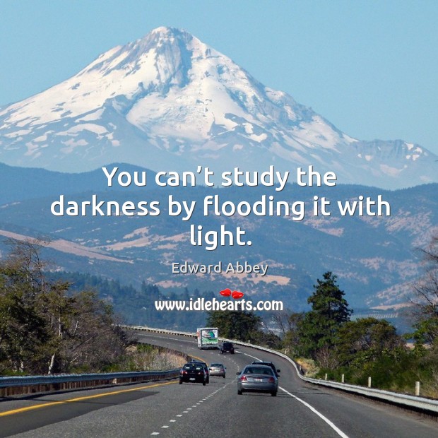 You can’t study the darkness by flooding it with light. Edward Abbey Picture Quote