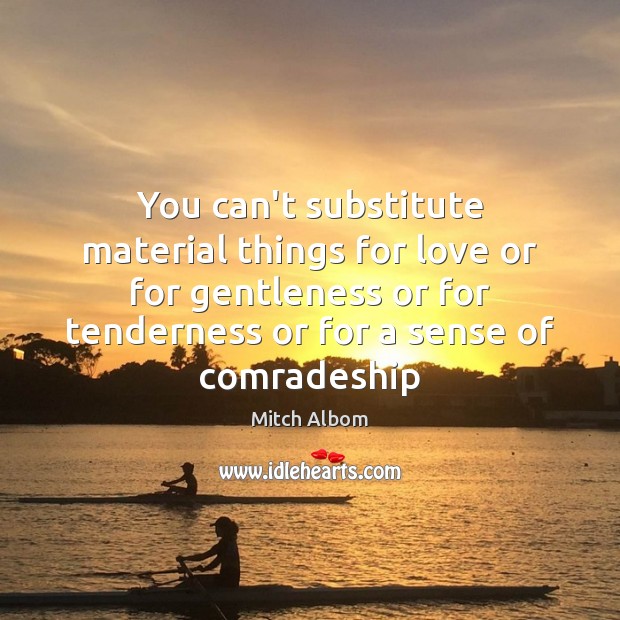 You can’t substitute material things for love or for gentleness or for Image