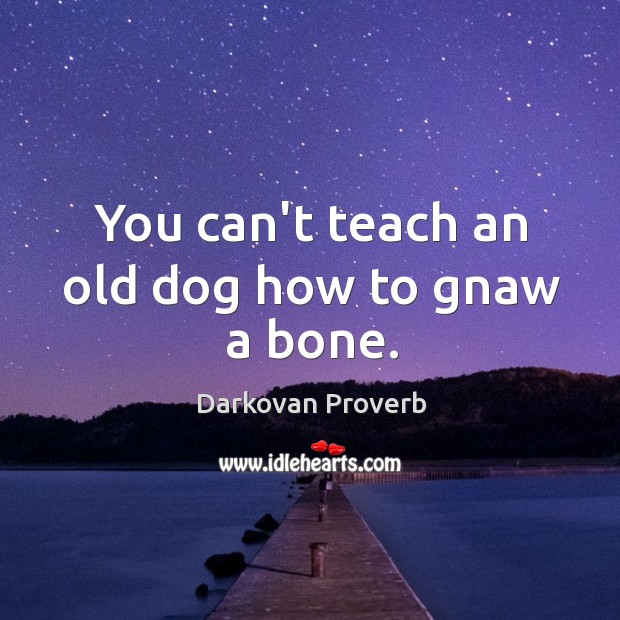 You can’t teach an old dog how to gnaw a bone. Darkovan Proverbs Image