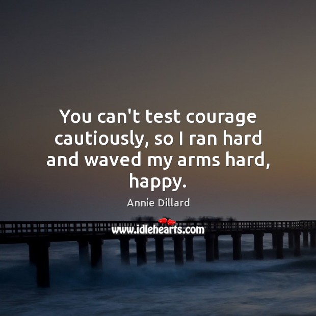 You can’t test courage cautiously, so I ran hard and waved my arms hard, happy. Annie Dillard Picture Quote
