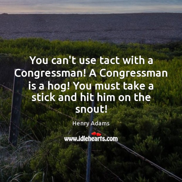 You can’t use tact with a Congressman! A Congressman is a hog! Image