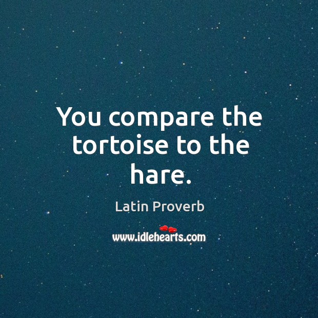 You compare the tortoise to the hare. Image