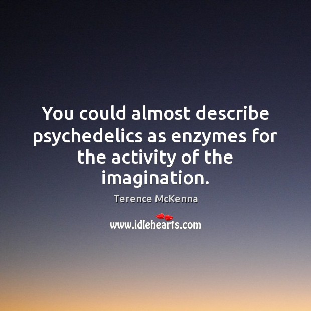 You could almost describe psychedelics as enzymes for the activity of the imagination. Terence McKenna Picture Quote