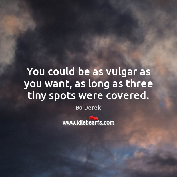 You could be as vulgar as you want, as long as three tiny spots were covered. Bo Derek Picture Quote