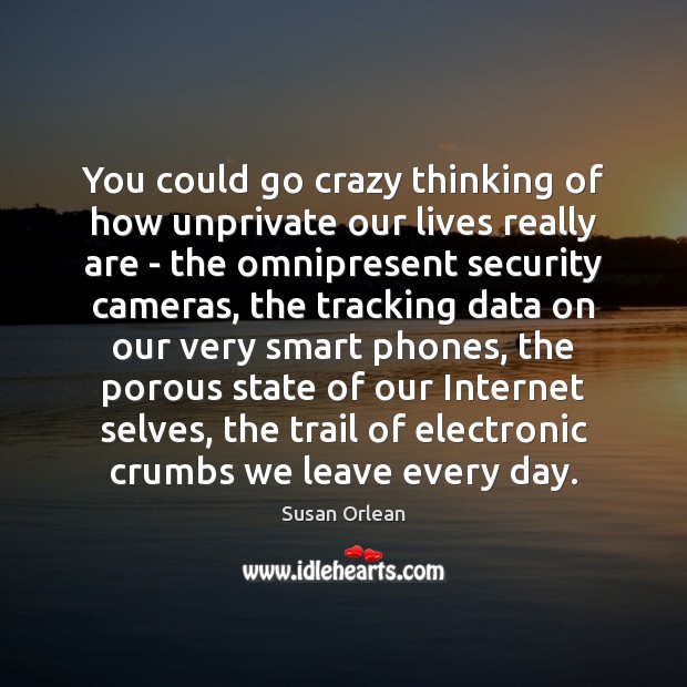 You could go crazy thinking of how unprivate our lives really are Susan Orlean Picture Quote