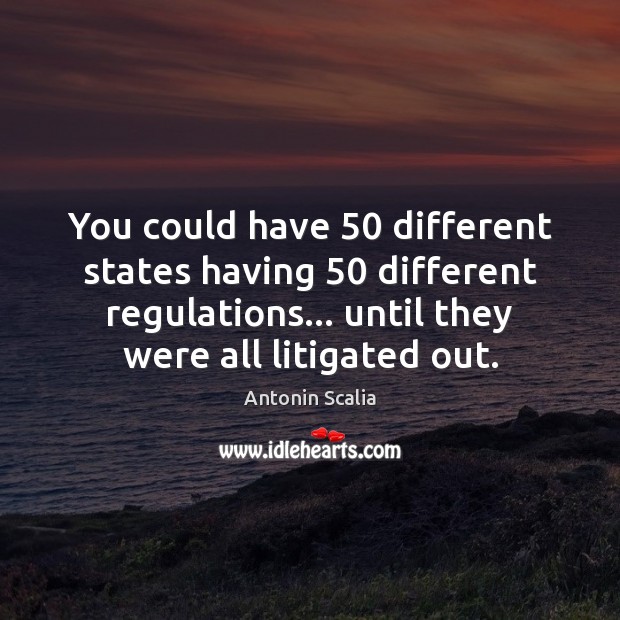 You could have 50 different states having 50 different regulations… until they were all Antonin Scalia Picture Quote