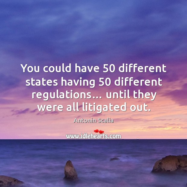 You could have 50 different states having 50 different regulations… until they were all litigated out. Image