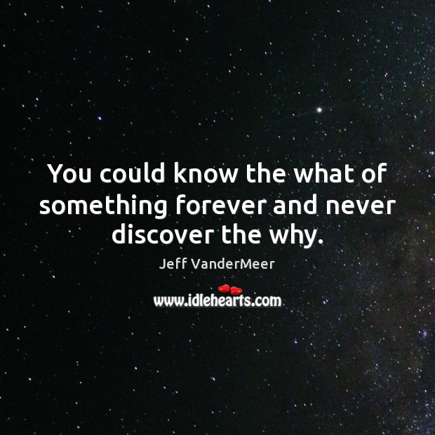 You could know the what of something forever and never discover the why. Jeff VanderMeer Picture Quote