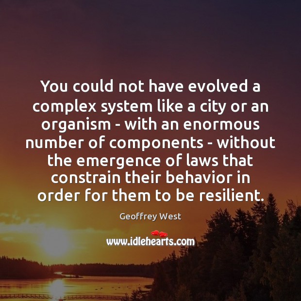 You could not have evolved a complex system like a city or 