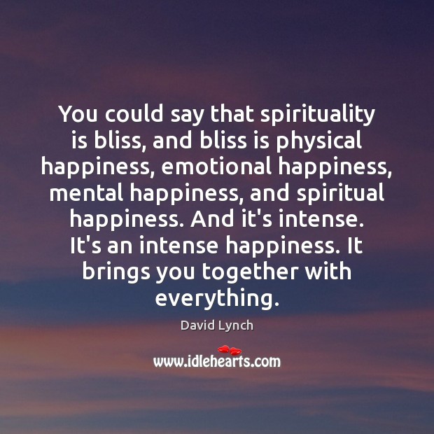 You could say that spirituality is bliss, and bliss is physical happiness, David Lynch Picture Quote