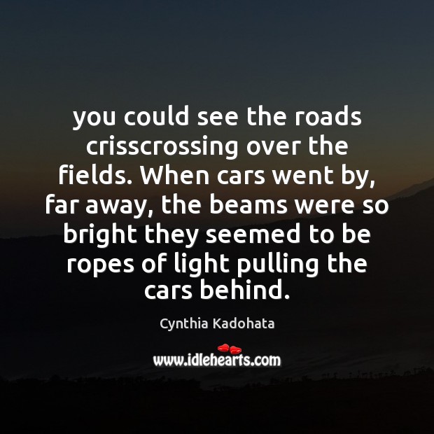 You could see the roads crisscrossing over the fields. When cars went Cynthia Kadohata Picture Quote