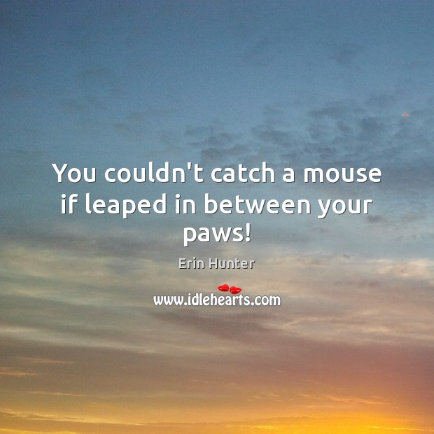 You couldn’t catch a mouse if leaped in between your paws! Erin Hunter Picture Quote