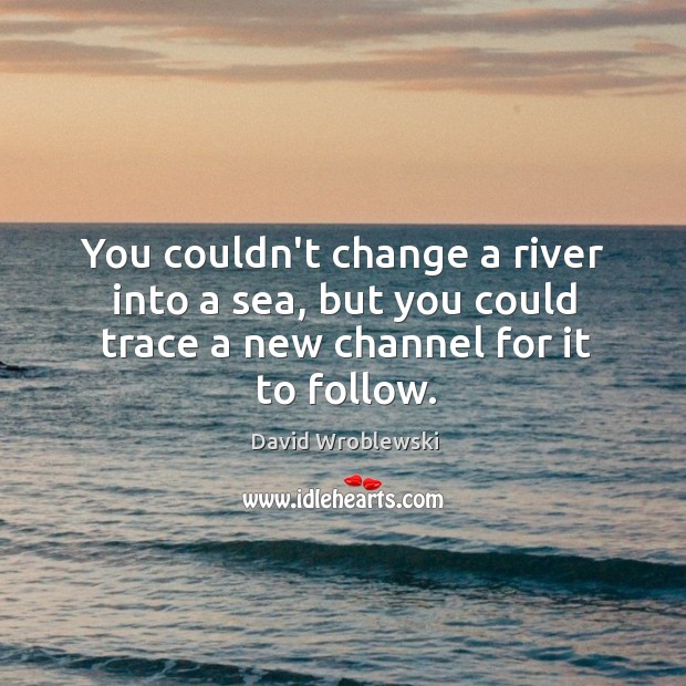 You couldn’t change a river into a sea, but you could trace David Wroblewski Picture Quote