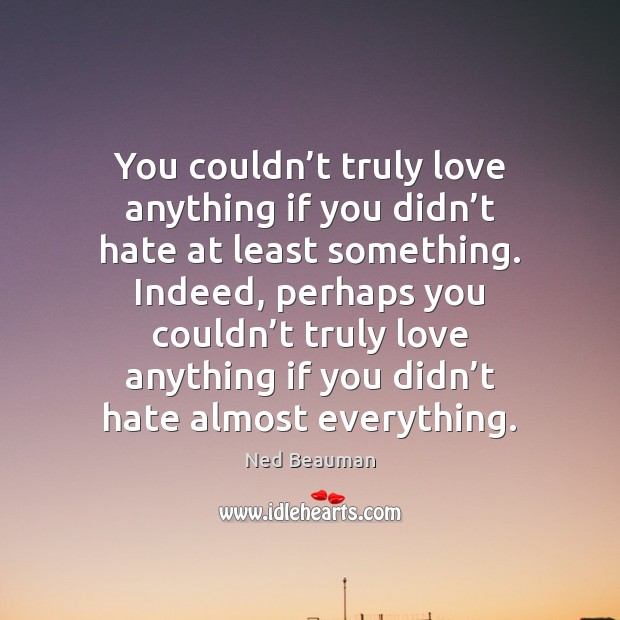 You couldn’t truly love anything if you didn’t hate at Ned Beauman Picture Quote