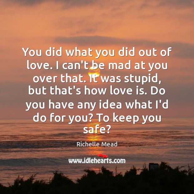 You did what you did out of love. I can’t be mad Richelle Mead Picture Quote