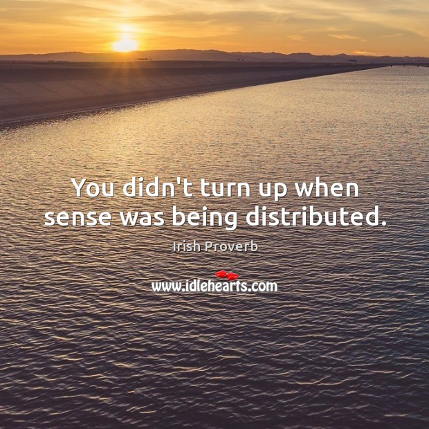 You didn’t turn up when sense was being distributed. Irish Proverbs Image