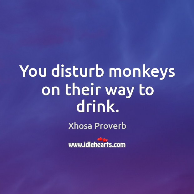 You disturb monkeys on their way to drink. Image